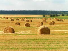 Agrotourism Belarus
